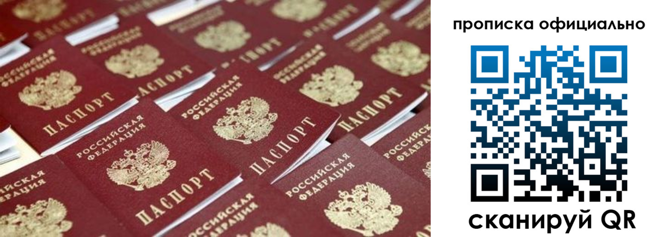 прописка гарантия в Ярославской области